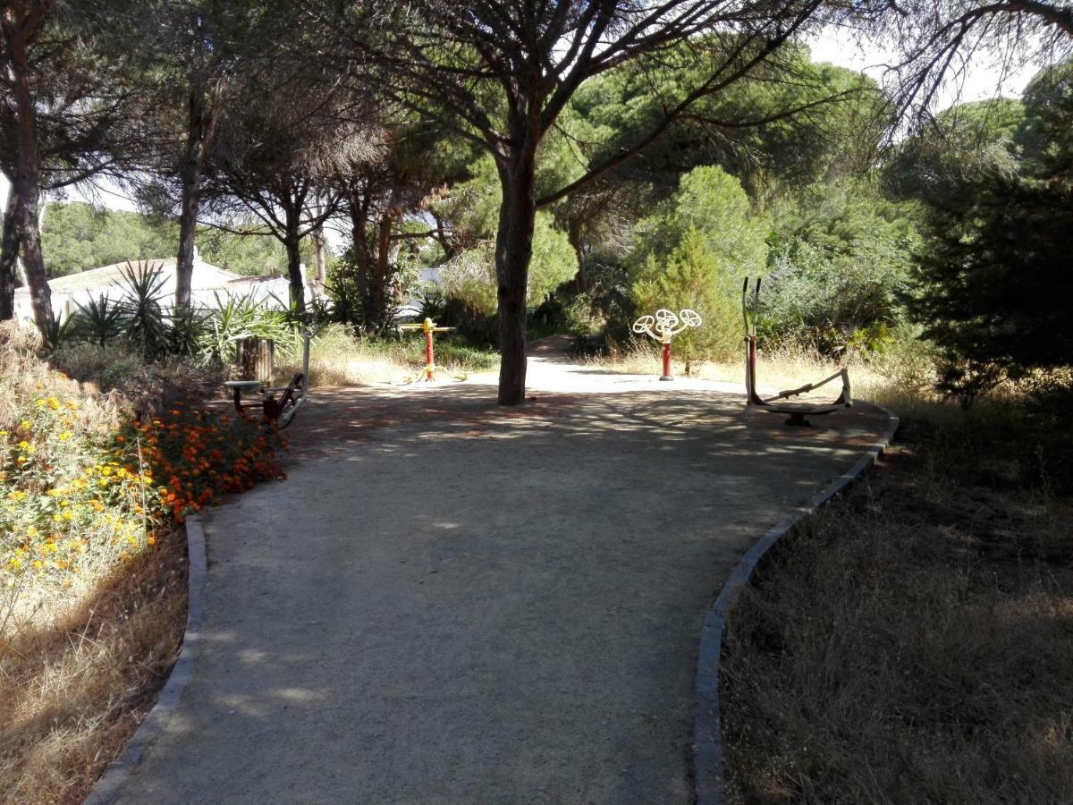 Apartamento En Los Patios De Santa Maria Golf Marbella Ngoại thất bức ảnh